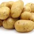картофель гала