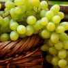 сонник зеленый виноград