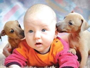 Маленькие породы собак для детей