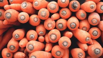 Отбор моркови для зимнего хранения