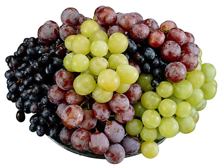 Виноград: польза и вред для здоровья организма
