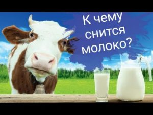 К чему снится молоко? Сонник молоко