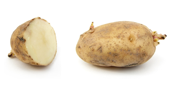 Поможет ли сок картофеля при папилломах
