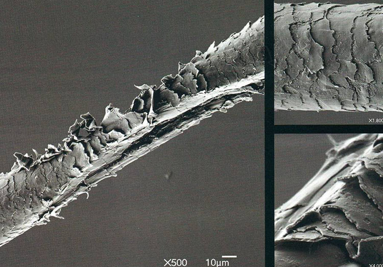 Поврежденные волосы под микроскопом