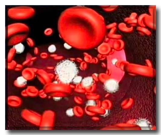  Симптомы и причины железодефицитной анемии
