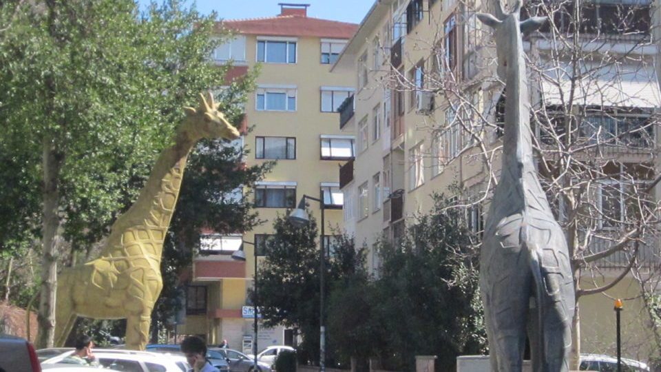 Азиатская часть Стамбула, жирафы во дворе