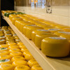 Как выбрать сыр без пальмового масла?