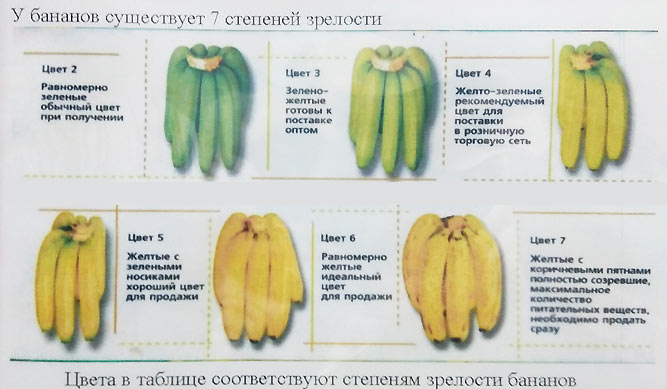 стадии зрелости бананов